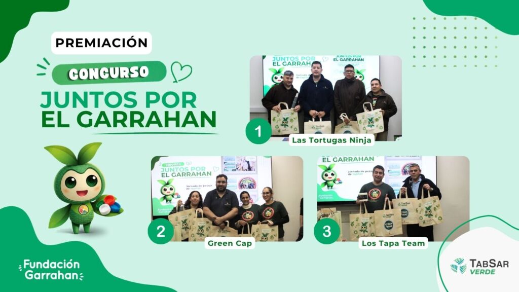 concurso juntos por el garrahan